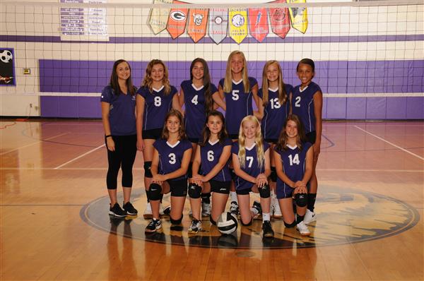 7th Purple Volleyball